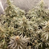 806ABC6E-2A3E-460E-BDF0-3F387C49BC7A