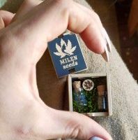 3e1132a1-bd7f-47fe-ada8-7cfd6dea3f29-198x300