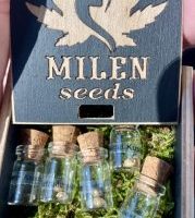 b422a943-35dc-4754-876f-d54a90bfcd88-179x300