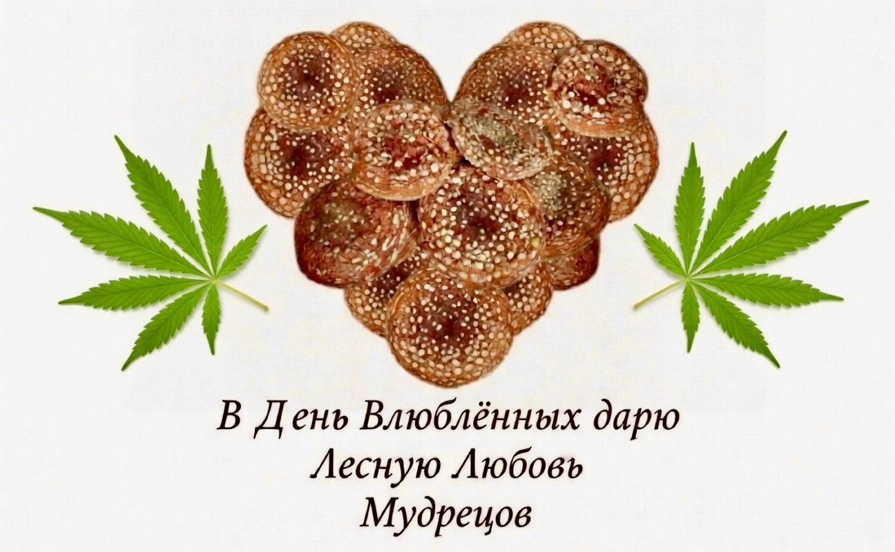 Mushheart